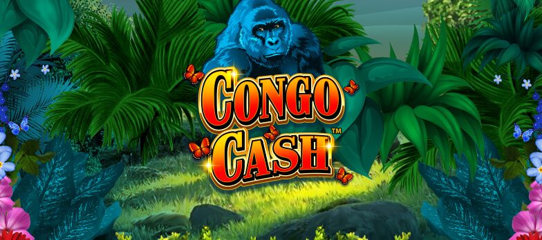 hp-congo-cash.jpg hp-congo-cash.jpg