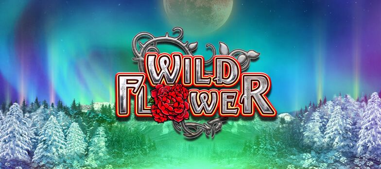 hp-wild-flower.jpg hp-wild-flower.jpg